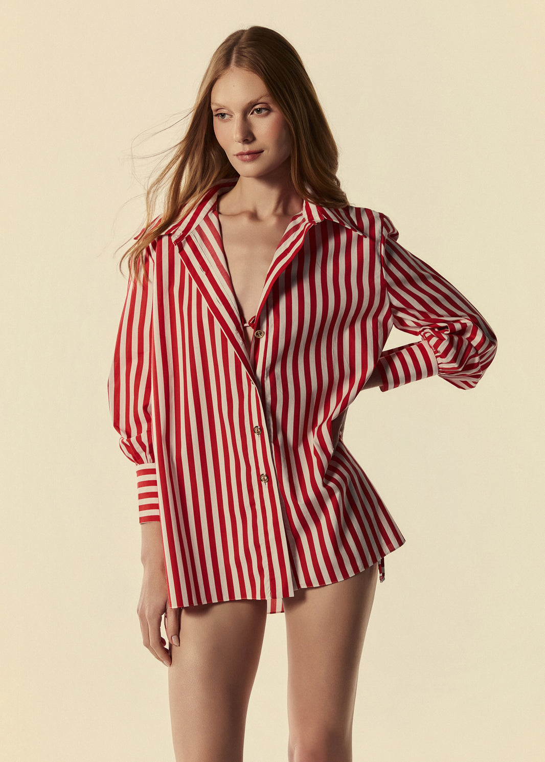 CAMISA M/L LISTRAS SIERRA